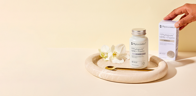 A Guide to Healthy Ageing: Supporting Healthspan