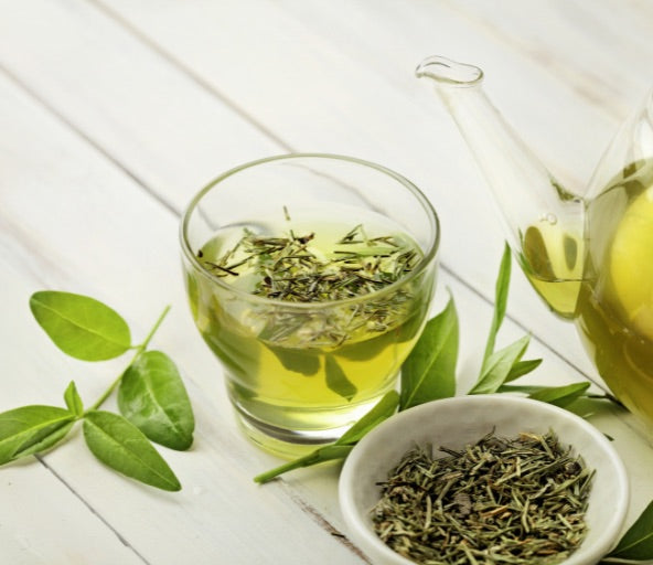 green tea extract power - Phytoceutics