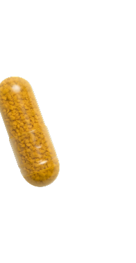 Coyne curcumin