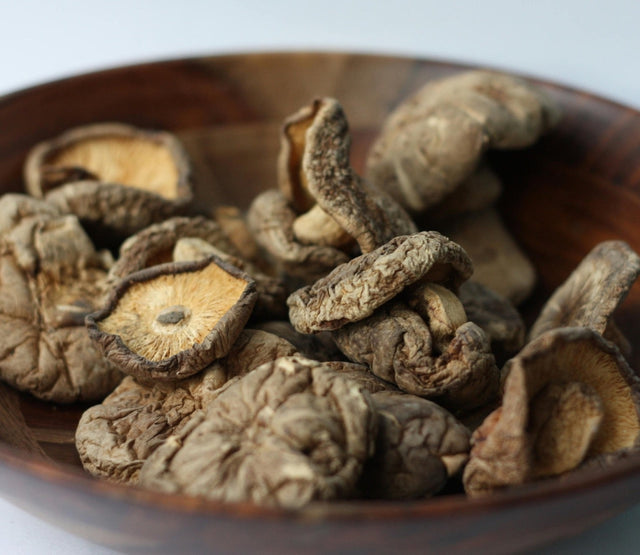 Potential of Shiitake Mycelia Extract in the Treatment of HPV Thumbnail Large