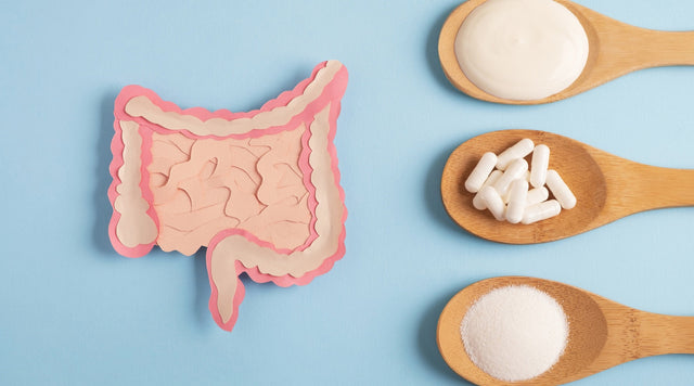 Probiotics: Selecting The Right One For Your Health Needs