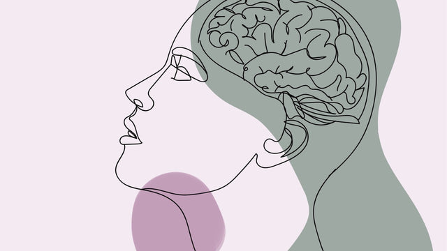 Heal Your Gut, Calm Your Mind: The Gut-Brain Connection Explained
