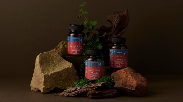 Meet Terranova: The Supplement Brand That Thinks Like Food