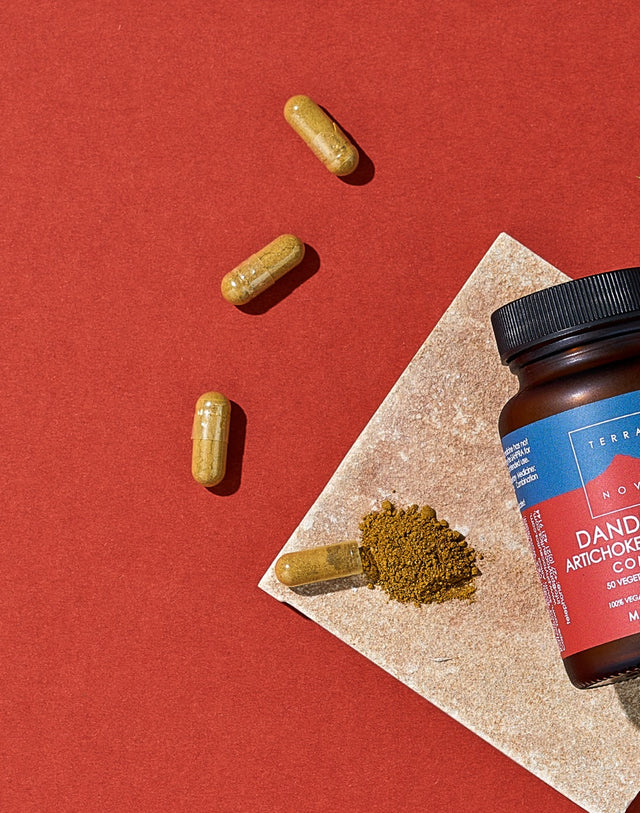 Benefits_of_Dandelion_Supplement_Terranova_Image