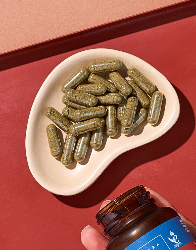 Benefits_of_Iron_Supplement-Terranova