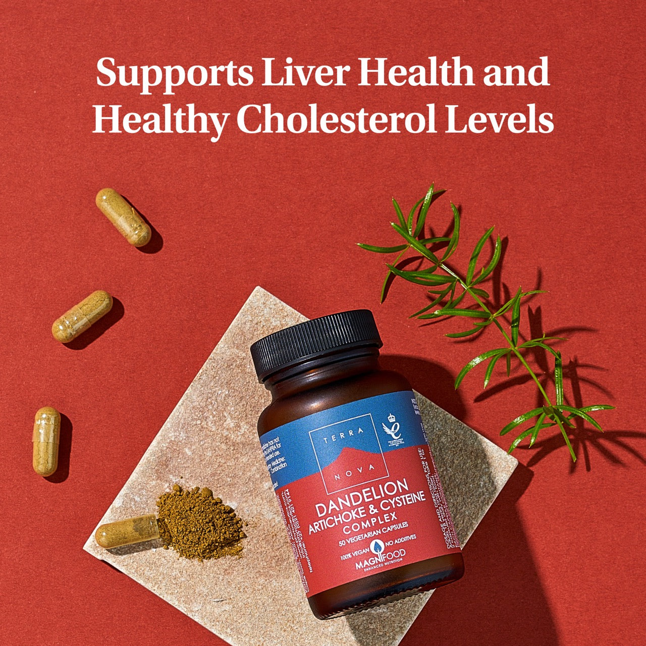 Dandelion-Supplement-Terranova-Lifestyle-Image