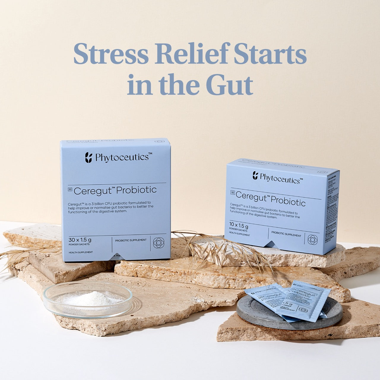 Ceregut® Probiotic