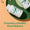 Biomax® Felix® Saffron